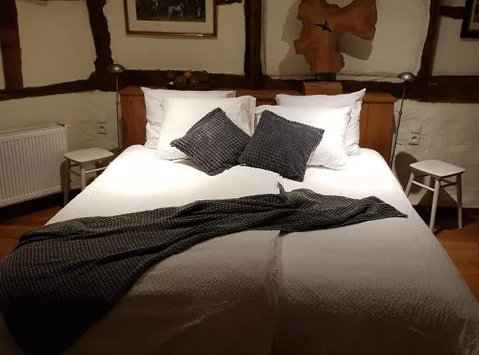 Couette-café Vleugje Wellness In De Voerstreek - Bed & Brocante Onder De Poort 4*